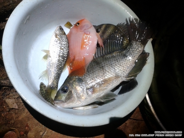 20140924_195743.jpg