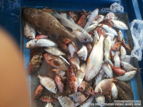 20140922_171050.jpg