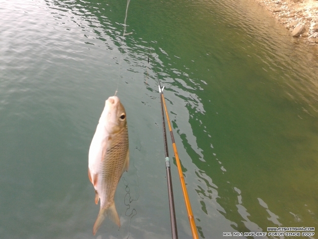 20141002_144123.jpg