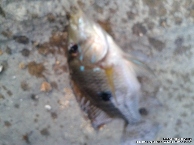 20141002_161313.jpg