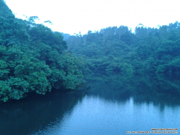 20141004_180904.jpg