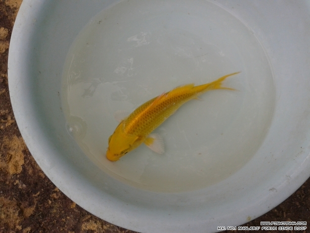 20141009_133057.jpg