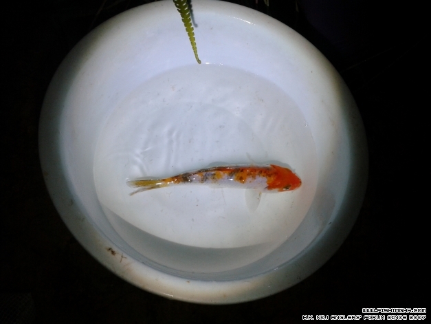 20141009_183817.jpg
