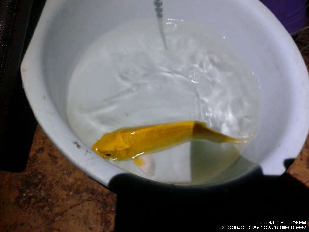 20141009_185222.jpg