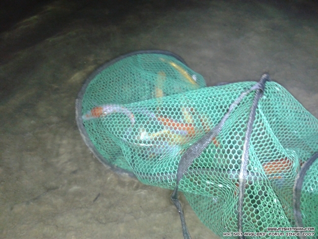 20141009_191844.jpg