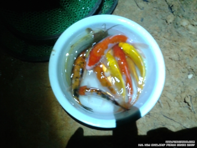 20141009_192001.jpg
