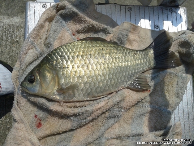 20141012_123754.jpg