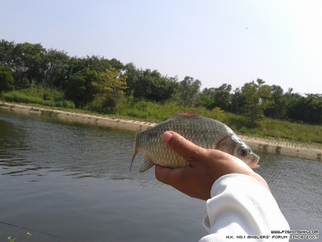 20141012_123825.jpg