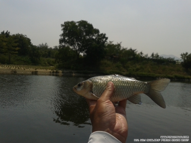 20141012_123834.jpg