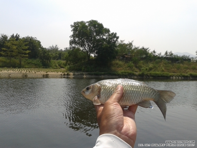 20141012_123841.jpg