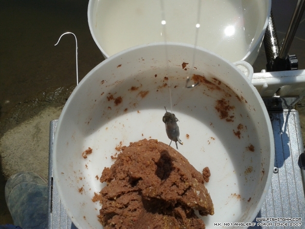 20141018_114328.jpg