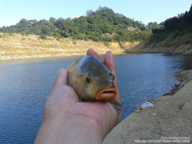 20141019_154245.jpg