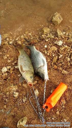20141026_151608.jpg