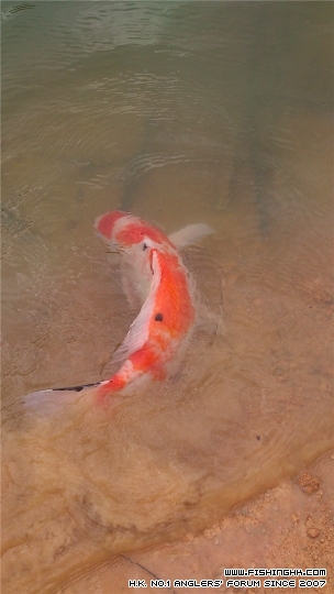 DSC_1654_副本.jpg