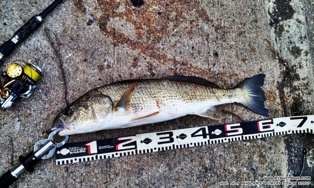 2014-04-12 18.12.26 11.jpg