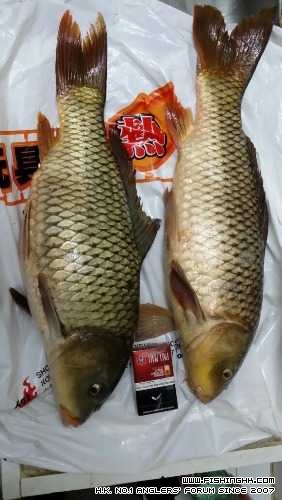 IMG-20141123-WA0001.jpg