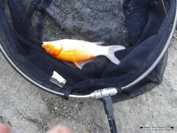 20141220_132720.jpg