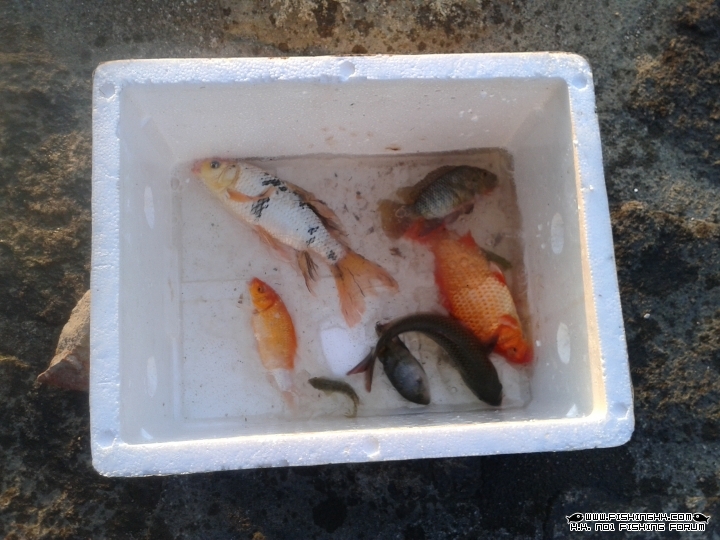20141220_171924.jpg