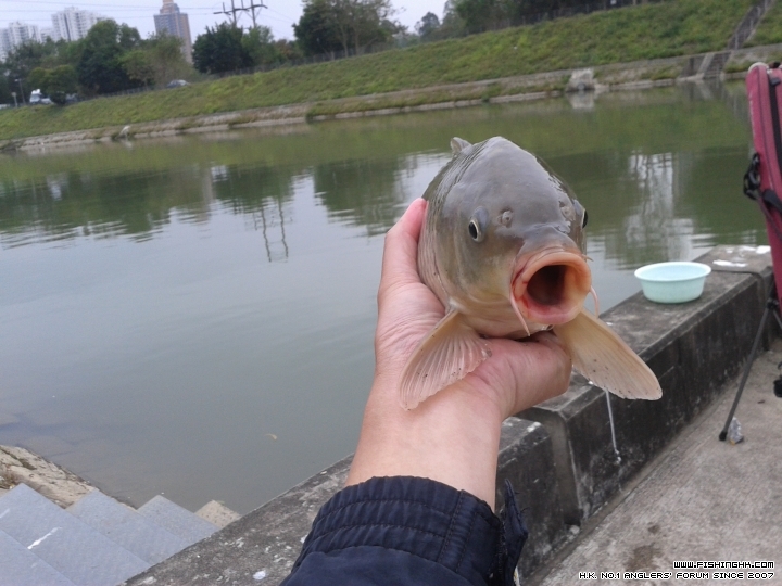 20141225_100721.jpg
