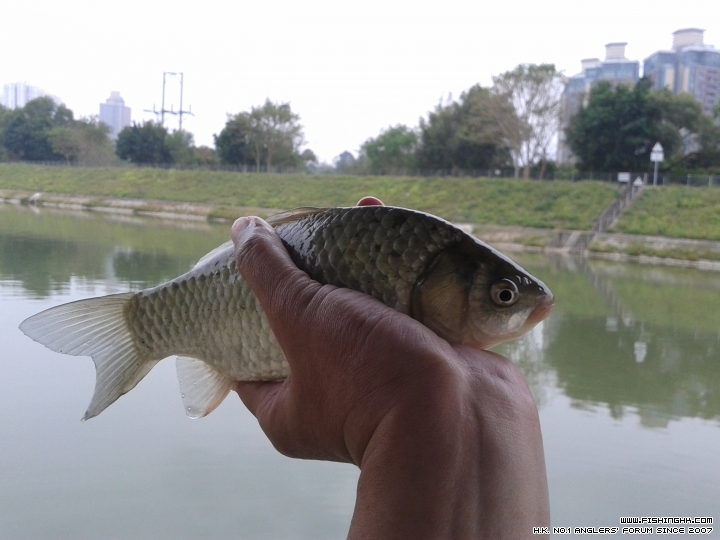 20141225_134835.jpg