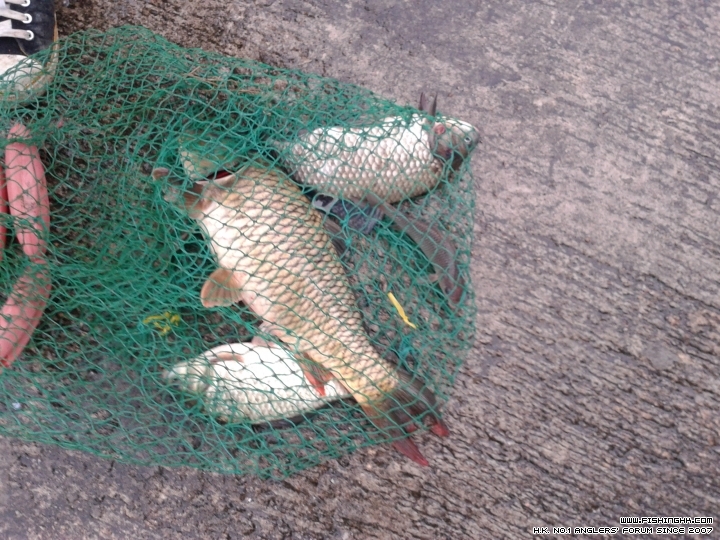 20141225_171227.jpg