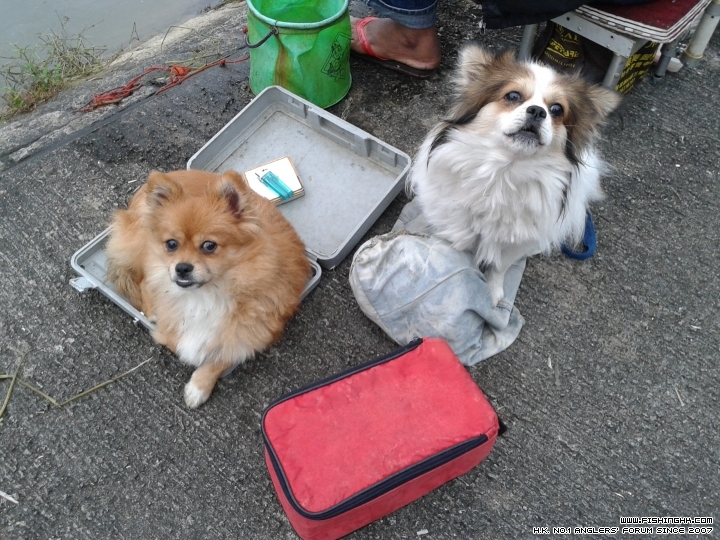 20141226_170027.jpg