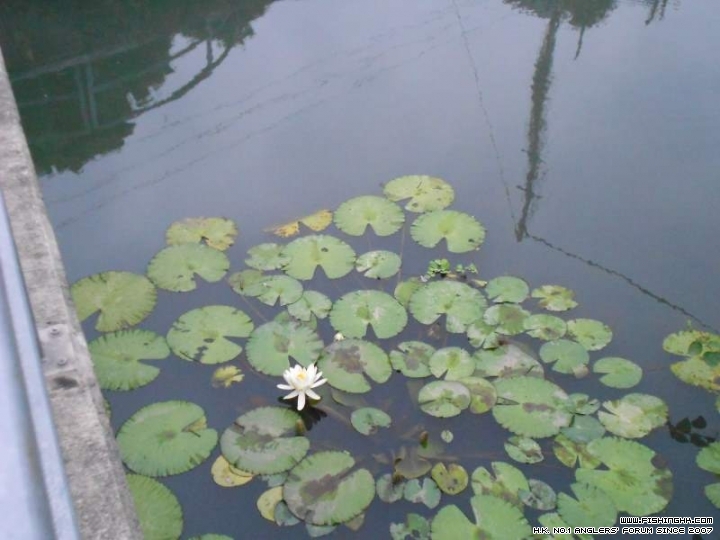 DSCN1061.JPG