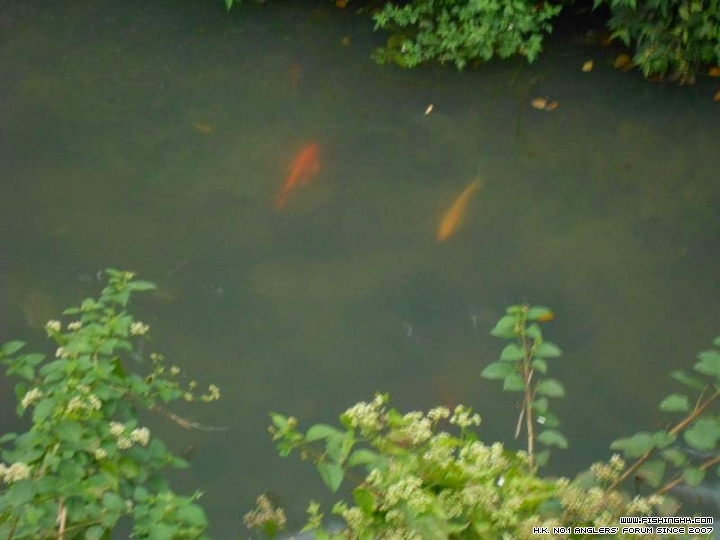 DSCN1065.8.JPG