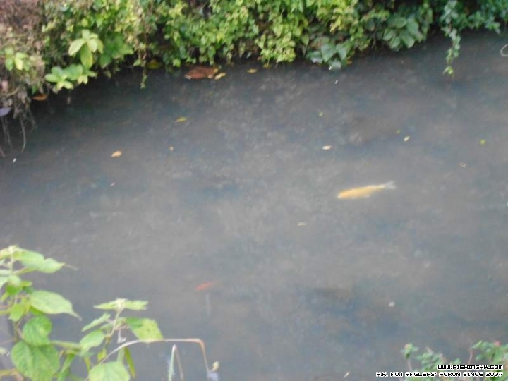 DSCN1065.JPG