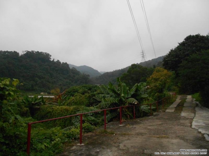 DSCN1068.JPG