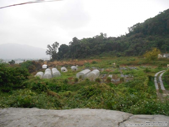 DSCN1071.JPG