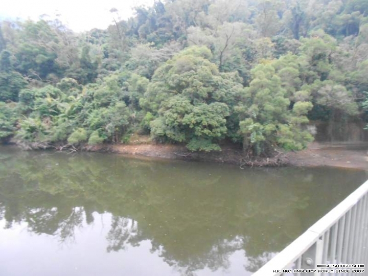 DSCN1081.JPG