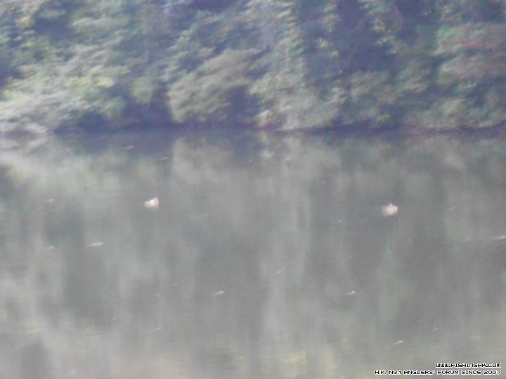 DSCN1089.JPG
