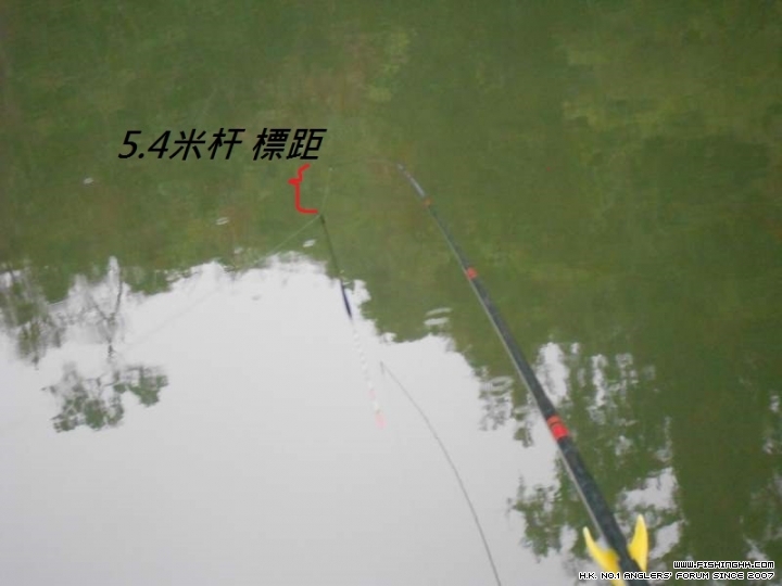 DSCN1122.JPG
