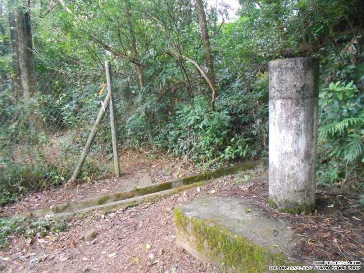 DSCN1132.JPG