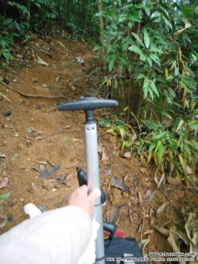DSCN1139.JPG