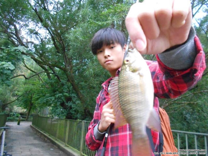 DSCN1154.JPG
