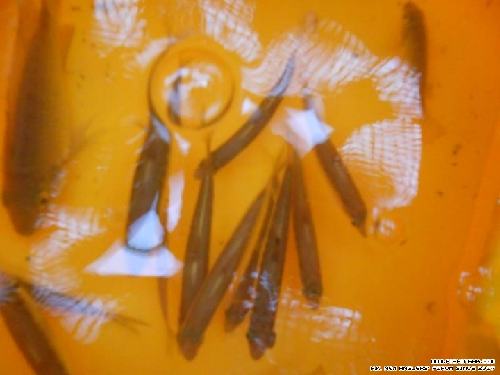 DSCN1157.JPG