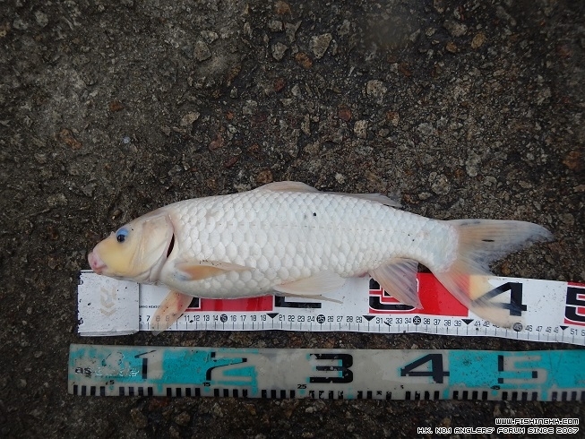 DSCN0839.JPG