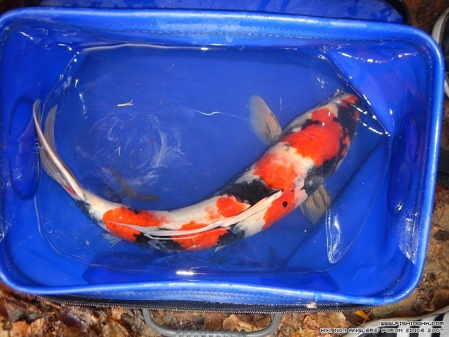 DSCN0882.JPG