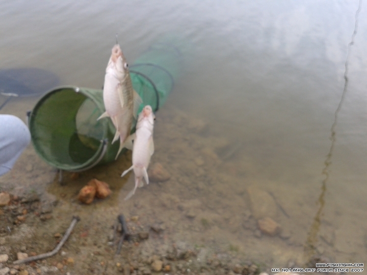 20150214_142720.jpg