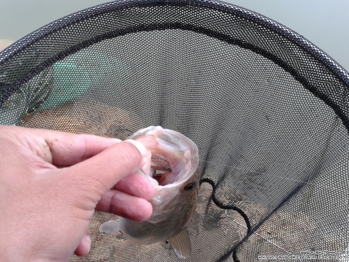 20150215_145849.jpg