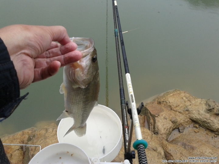20150215_145926.jpg