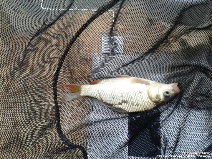 20150215_155910.jpg