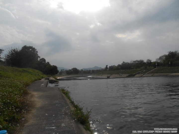DSCN1630.JPG