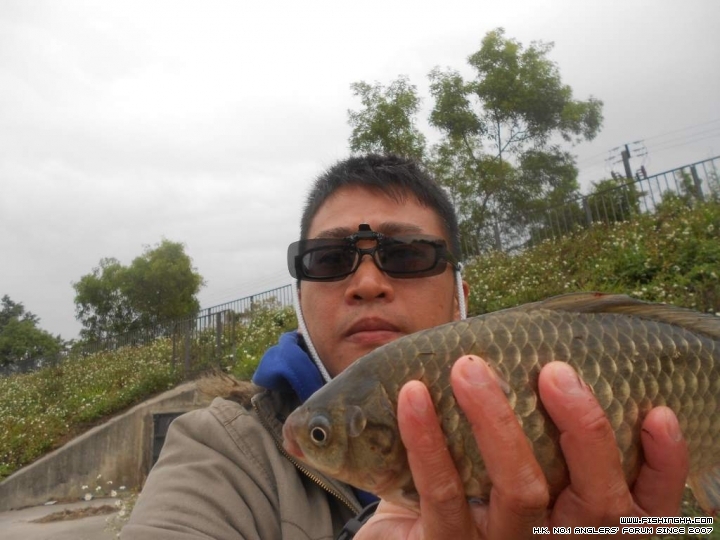 DSCN1635.JPG