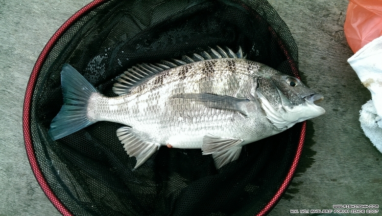 IMAG0957.jpg
