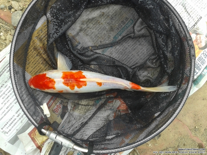 20150218_131426.jpg