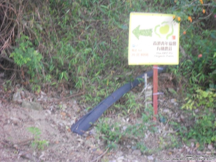 DSCN1654.JPG