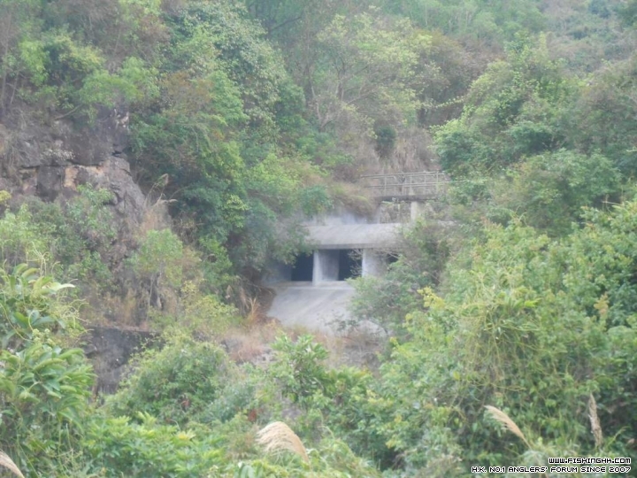 DSCN1662.JPG